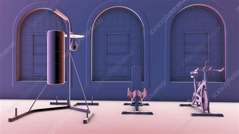 Gym Interior Illustration Stock Image F0375285 Science Photo