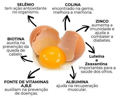 Conheça os benefícios do ovo na luta contra o câncer de mama Acorda