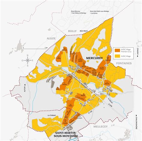Mercurey Wine Region Map Wine Map Infographic Map