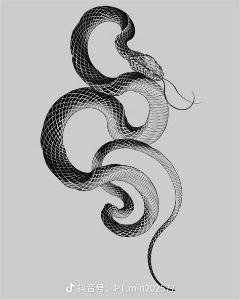 Neo Tattoo Dark Art Tattoo Snake Drawing Snake Art Half Sleeve