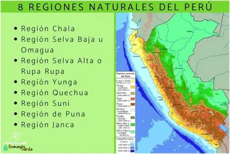 Descubre Cuáles Son Las Fronteras Del Perú Enero 2025 CeficPeru org