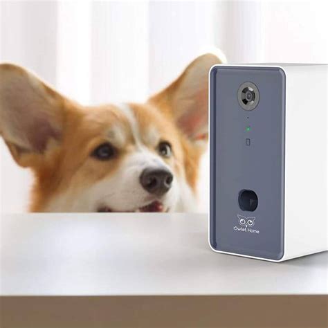 Smart and Fun: Discover the Best High-Tech Dog Treat Dispensers for Your Pup