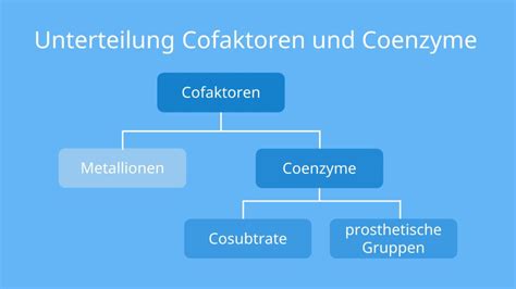 Enzymstrukturdiagramm