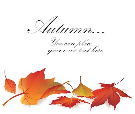 Fall leaf nature banner Autumn leaves background Season floral set 3335480 Vector Art at Vecteezy