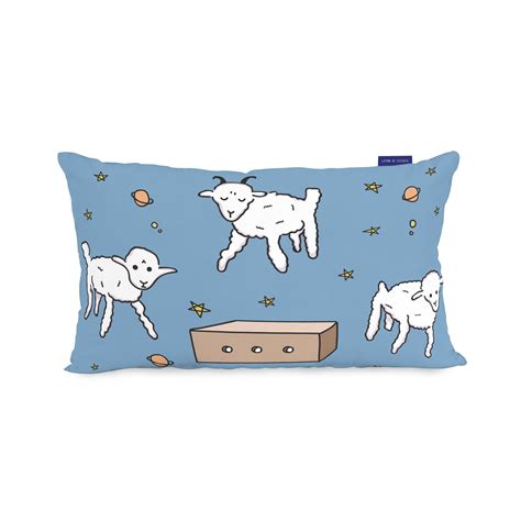 Housse De Coussin 50x30 Cm Le Petit Prince