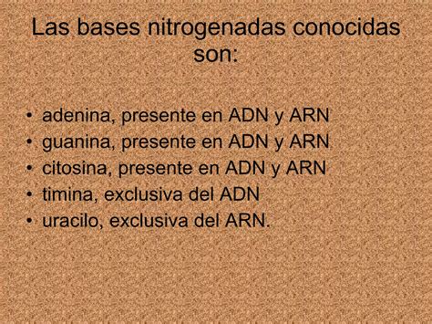 Los Cidos Nucleicos Ppt