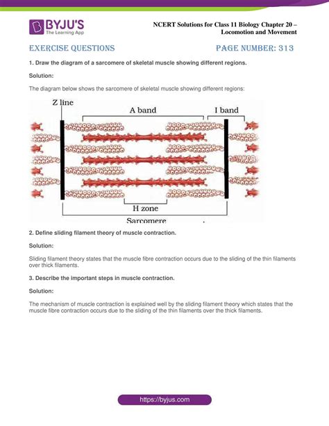 Ncert Solutions For Class Biology Chapter Locomotion And Movement