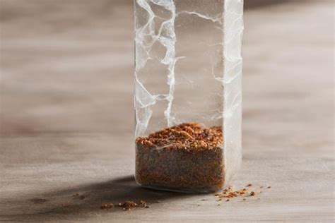 Global Grinders The Hidden Costs Of Low Quality Spice Grinders