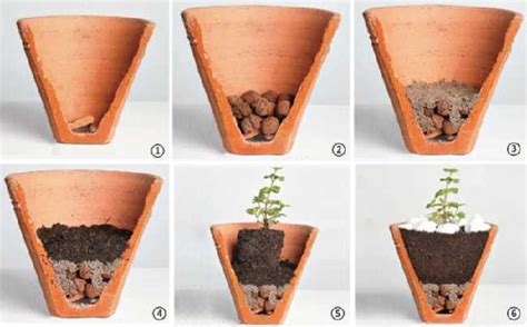 Como Montar Vasos Para Plantio Veja O Passo A Passo