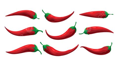 Chili Hot Pepper Vector Png Images Red Hot Chili Pepper Set Isolated On A White Background