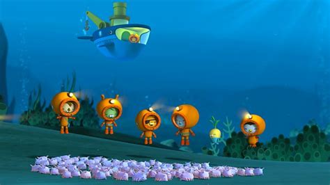 Sea Pigs ‹ Series 3 ‹ Octonauts