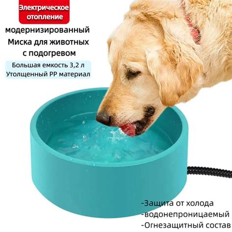Миска для животных купить на OZON по низкой цене (1825516129)