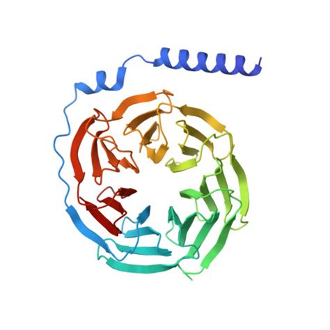 RCSB PDB 8GE6 CryoEM Structure Of Beta 2 Adrenergic Receptor In