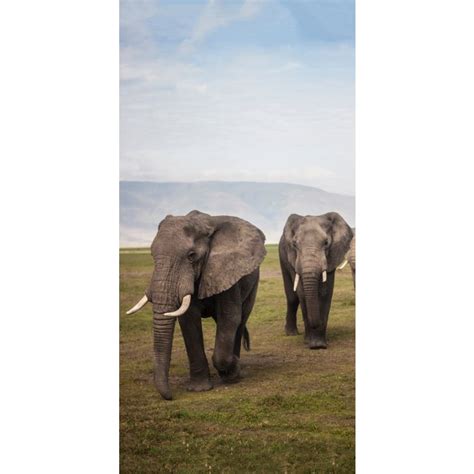 Elephants Crossing Picture Nxt Gen Infrared Heating Panel W