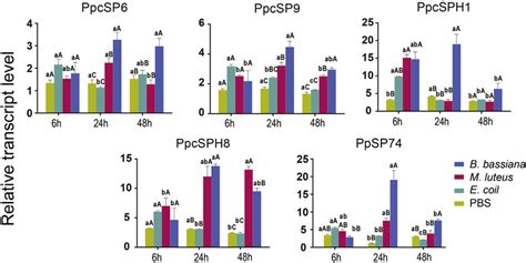 Expression Levels Of Sp Sph Genes Following Different Immune Challenge