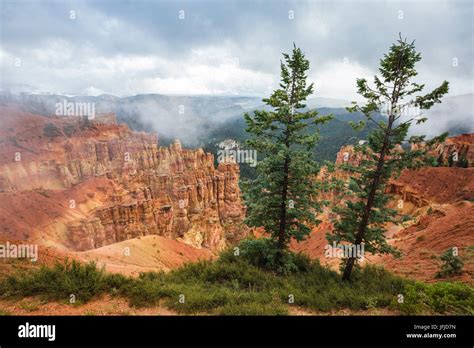 Black Birch Canyon Bryce Canyon National Park Garfield County Utah