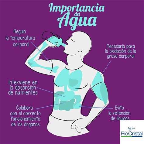 La Importancia Del Consumo De Agua Image To U