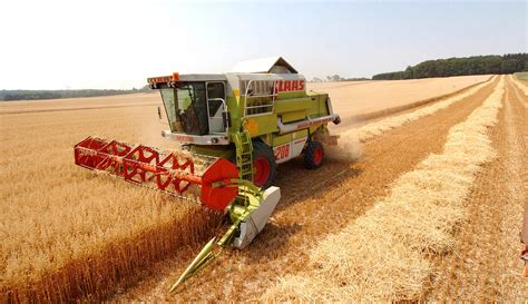 Markt Landwirtschaftskammer Nordrhein Westfalen