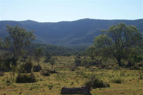 Bunya Mountains 3 Free Photo Download Freeimages