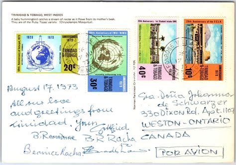 Vintage Continental Sized Postcard Nested Birds Trinidad And Tobago