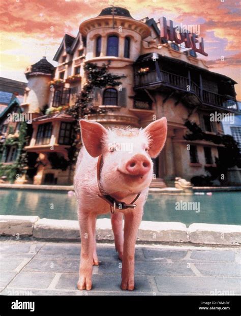 Original Film Title BABE PIG IN THE CITY English Title BABE PIG IN