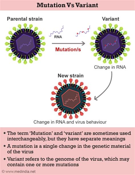 How Do Viruses Mutate And Why Does It Matter