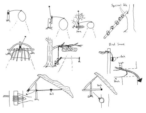 Types Of Animal Traps Design Talk