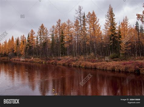 Brown River Slow Image And Photo Free Trial Bigstock