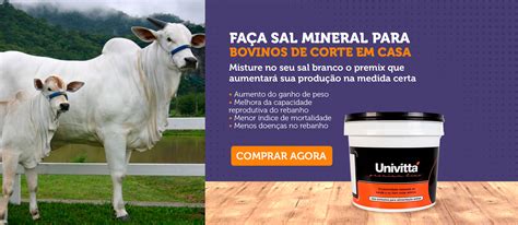 Sal Mineral Para Bovinos De Corte Agroexpress