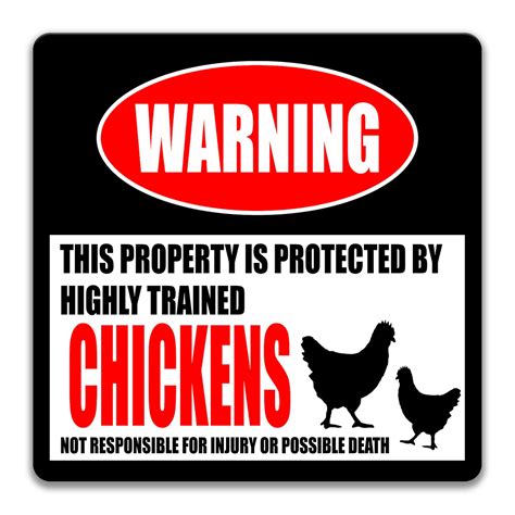 Chicken Sign Funny Chicken Sign Chicken Coop Sign Chicken Etsy