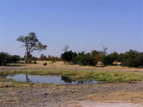 Botswana - Landscape