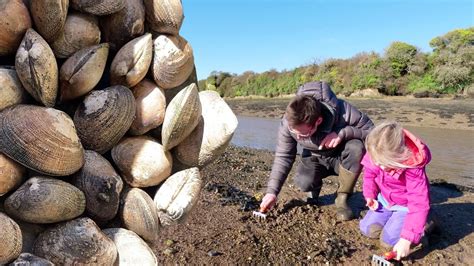 Coastal Foraging With My Daughter Tasty Clam Chowder Recipe Dining