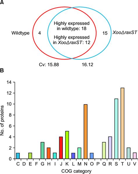 Comparison And Clusters Of Orthologous Groups COG Analysis Of