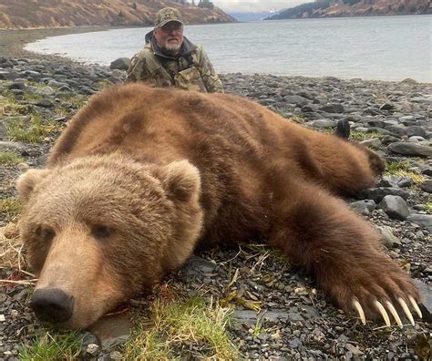 Kodiak Bear Hunts Hunt Alaska Outfitters