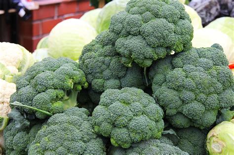 Broccoli Gratinati Al Forno Con Besciamella Il Contorno Goloso