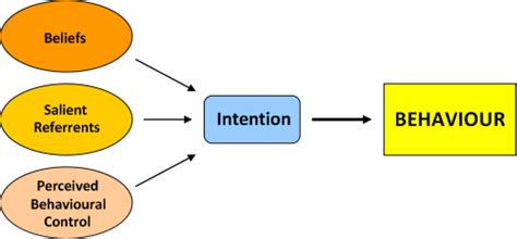 Theory Of Planned Behavior Explanation