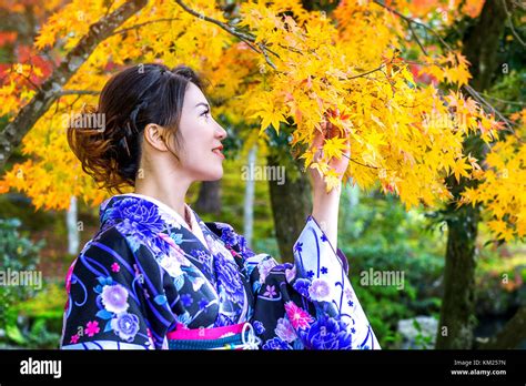 Asian Woman Wearing Japanese Traditional Kimono In Autumn Park Japan