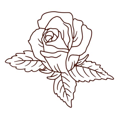 Diseño Png Y Svg De Icono De Flor Color De Rosa De La Naturaleza Para