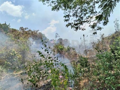 Incendio Afecta Pastizal Amenazaba A Viviendas