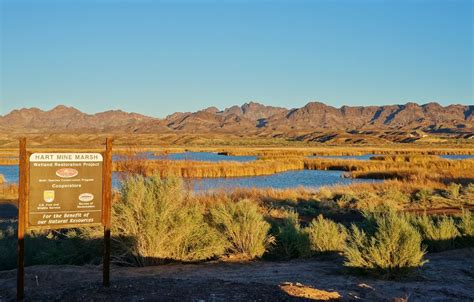 Exploring the Cibola National Wildlife Refuge