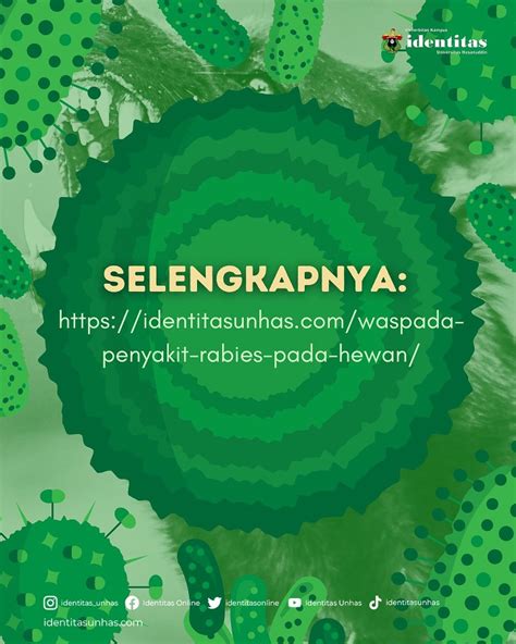 Infografis Waspada Penyakit Rabies Pada Hewan Identitas Unhas