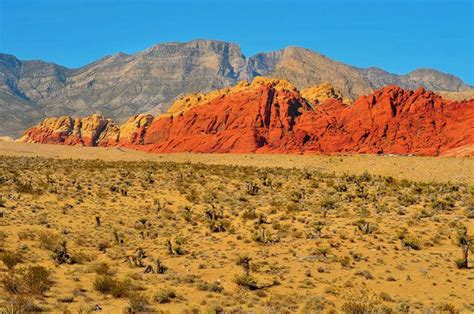 Deserto Del Mojave California Itinerario Cosa Vedere E Visitare