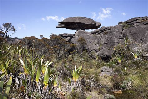 Flickriver: Searching for photos matching 'roraima'