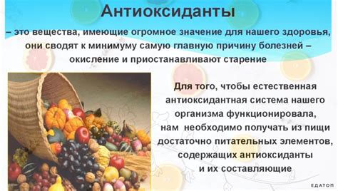 Что такое антиоксиданты, зачем они нужны и в каких продуктах много ...