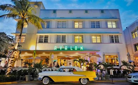 Avalon Hotel (Miami Beach, FL) - Hotel Reviews - TripAdvisor