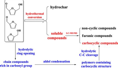 使用 Lc Msms 表征生物质衍生呋喃化合物水热转化过程中形成的可溶性产物。acs Omega X Mol