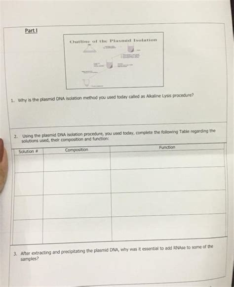 Solved Part I Outline of the Plasmid Isolation 1. Why is the | Chegg.com
