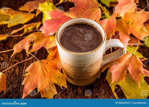 Hot Chocolate In The Fall Stock Image Image Of Color 46664429