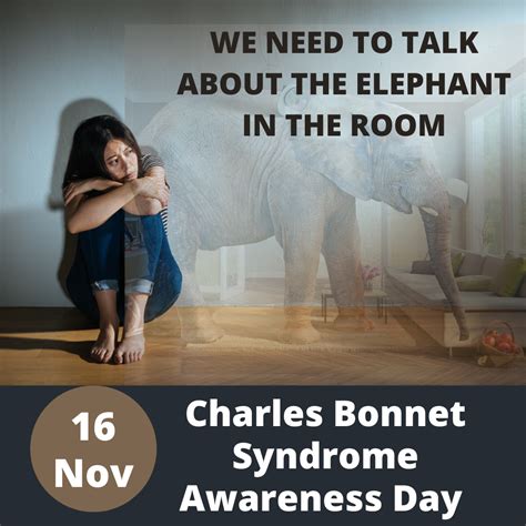 retina south africa charles bonnet syndrome