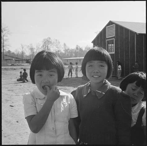 7 Ways To Learn Japanese American History From the Comfort of your Home ...